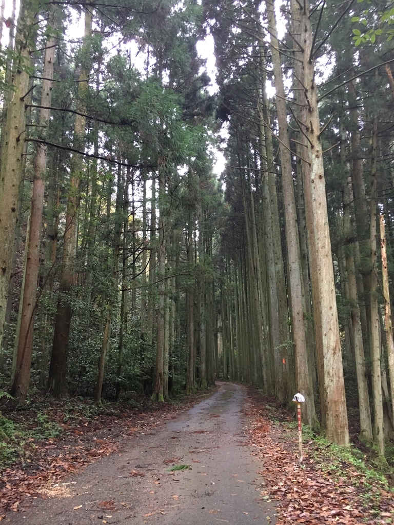 f:id:dokodeneru:20181119194604j:plain f:id:dokodeneru:20181119194604j:plain