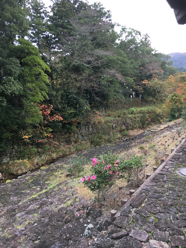 f:id:dokodeneru:20181119201614j:plain f:id:dokodeneru:20181119201614j:plain