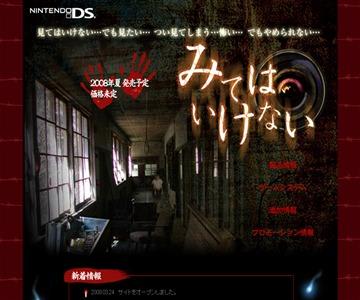 DSソフト みてはいけない
