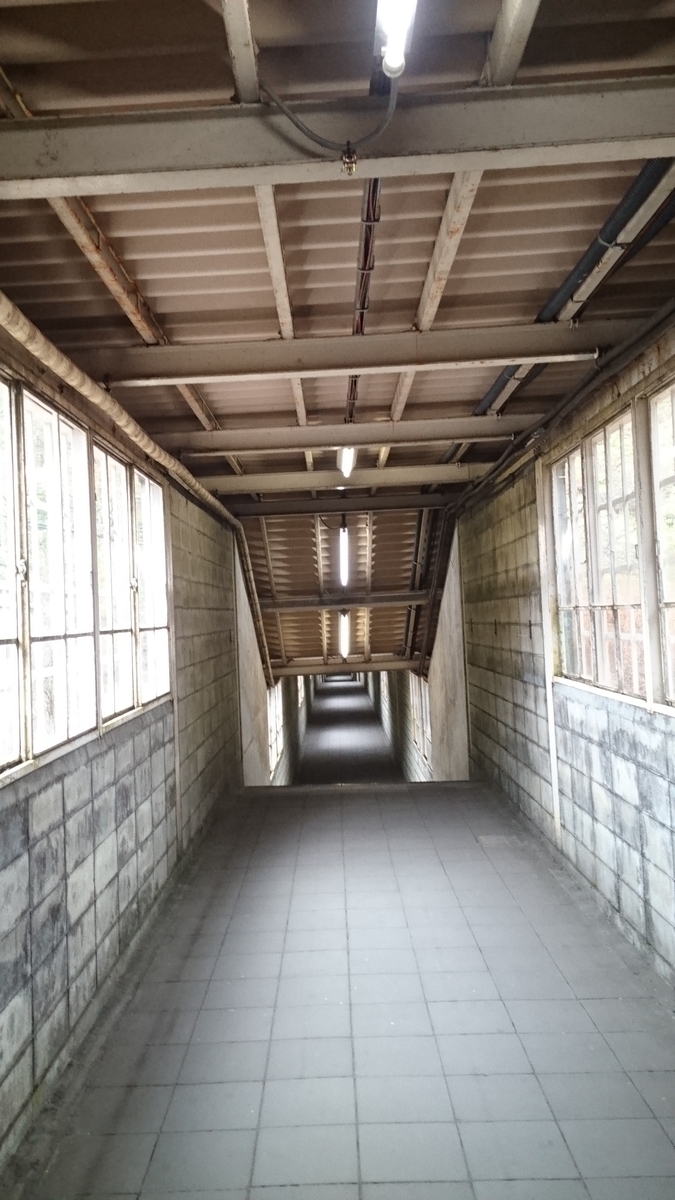 f:id:dokokaniwind:20190509141203j:plain