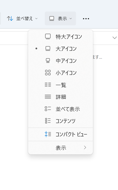 「表示」項目