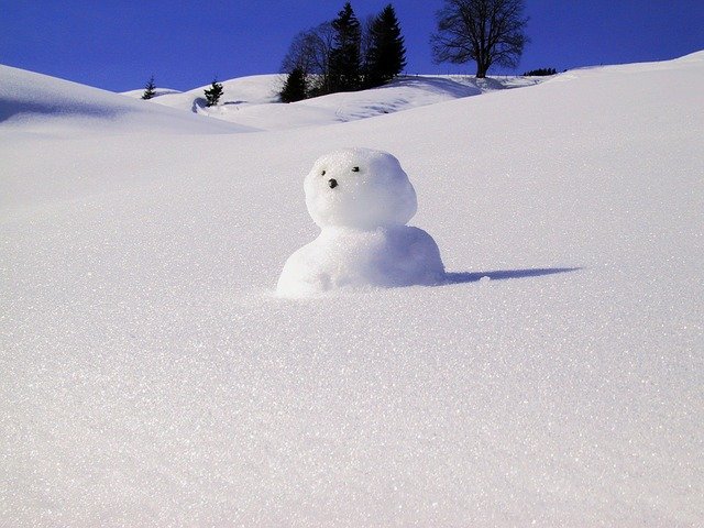 雪だるまの画像