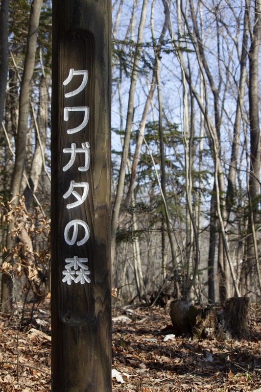 f:id:dokotoruto:20200301091039j:plain f:id:dokotoruto:20200301091039j:plain