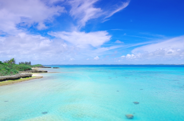 f:id:dokudamiyoshiko:20171116215735j:plain f:id:dokudamiyoshiko:20171116215735j:plain