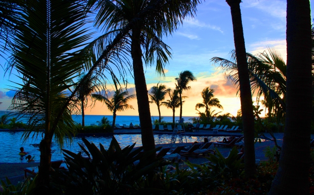 f:id:dokudamiyoshiko:20171122224536j:plain f:id:dokudamiyoshiko:20171122224536j:plain