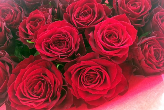 f:id:dokudamiyoshiko:20191023230821j:plain f:id:dokudamiyoshiko:20191023230821j:plain