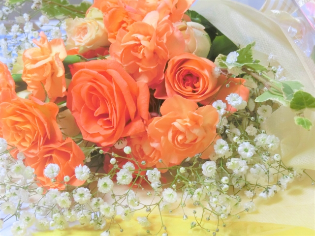 f:id:dokudamiyoshiko:20200510000033j:plain f:id:dokudamiyoshiko:20200510000033j:plain