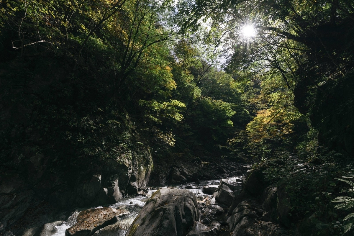 f:id:dokudamiyoshiko:20211026152717j:plain