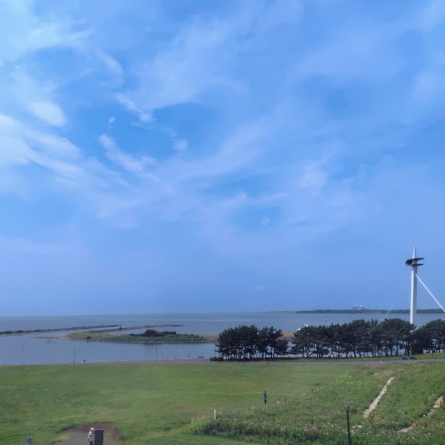 f:id:dokudamiyoshiko:20250708114502j:image