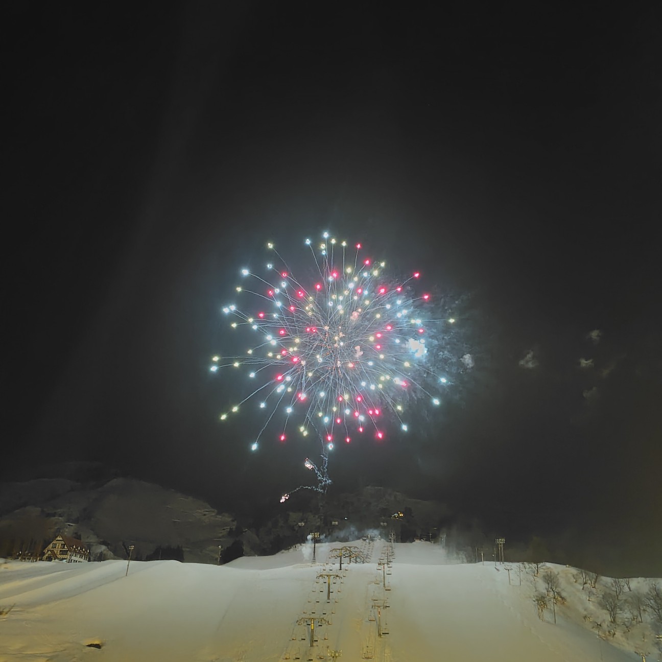 f:id:dokudamiyoshiko:20260221223044j:image