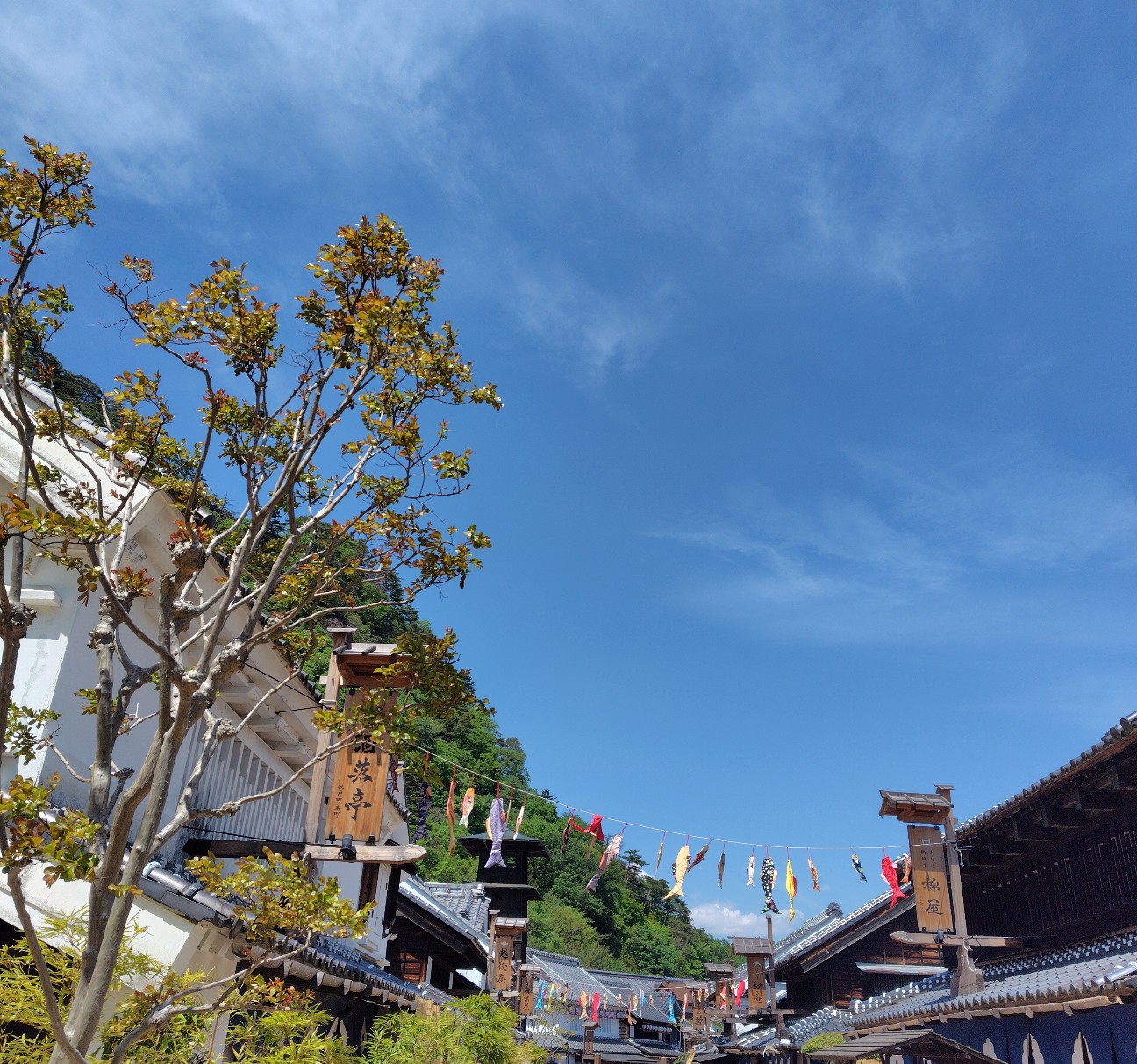f:id:dokudamiyoshiko:20260502184843j:image f:id:dokudamiyoshiko:20260502184843j:image
