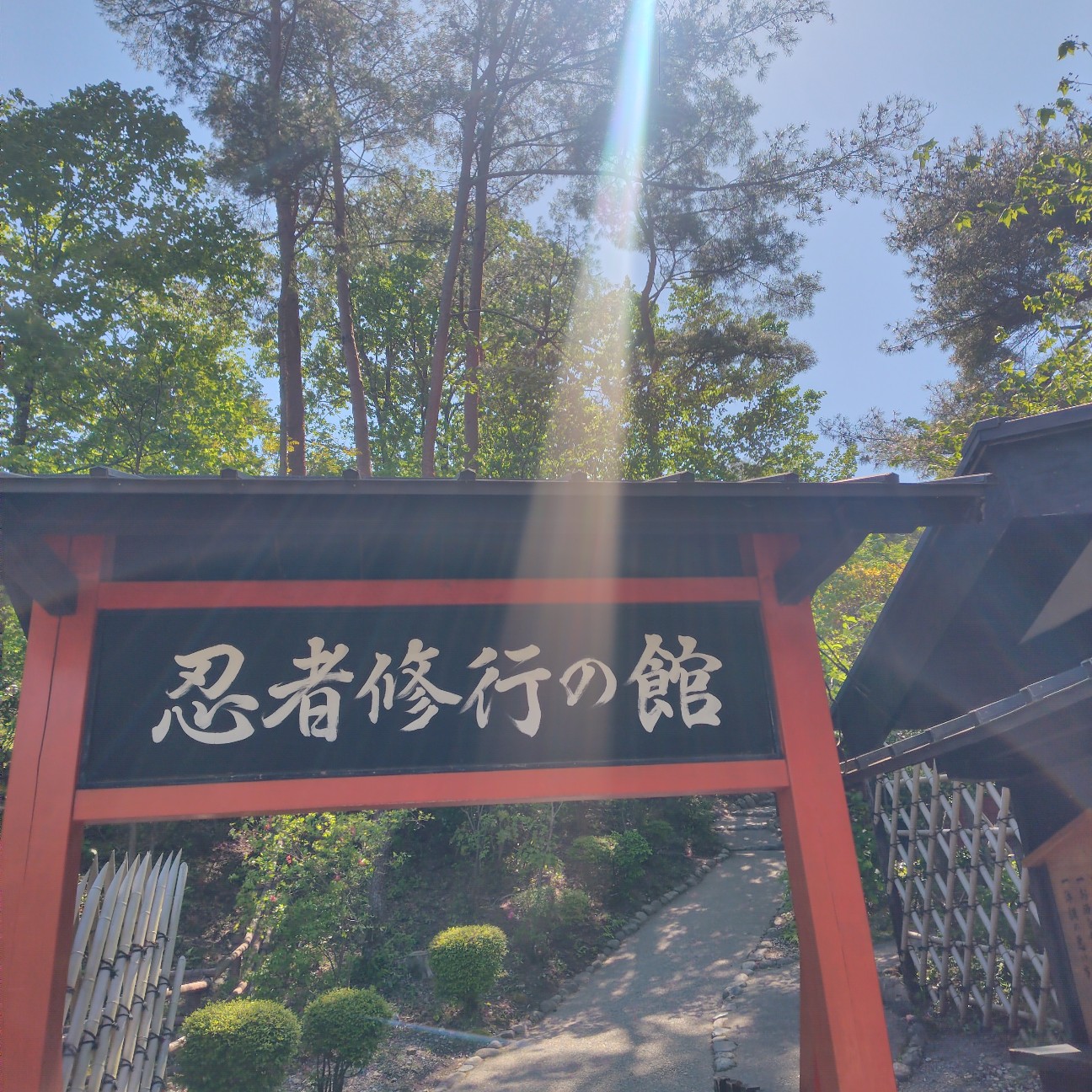 f:id:dokudamiyoshiko:20260502185332j:image f:id:dokudamiyoshiko:20260502185332j:image