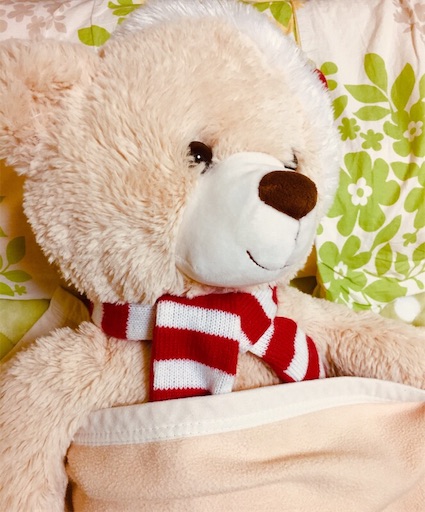 f:id:dokudokukinoco:20190208200636j:image:w250