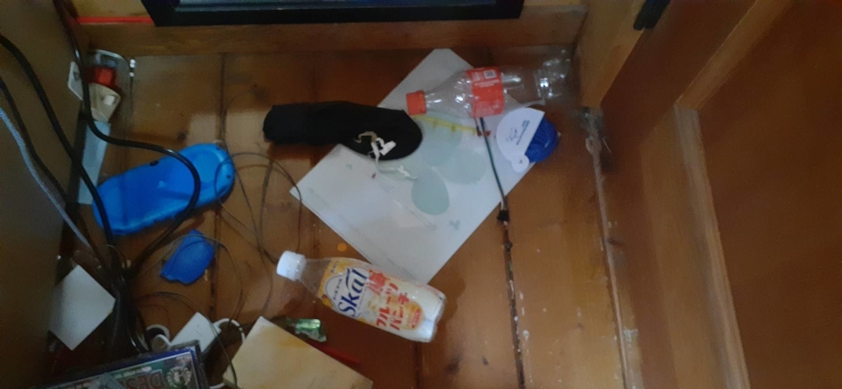 f:id:dokuguma:20220413182854j:plain