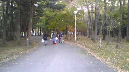 20081019073452