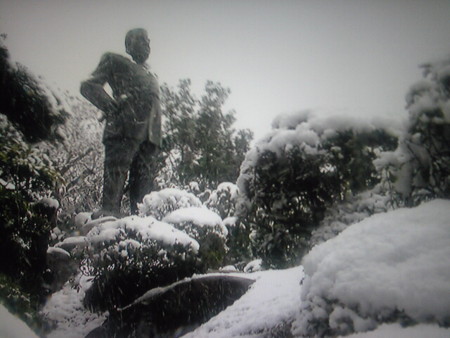 f:id:dokuhebiniki:20101231172751j:image