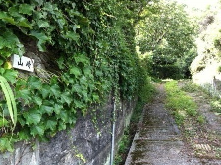 f:id:dokuhebiniki:20110814100815j:image