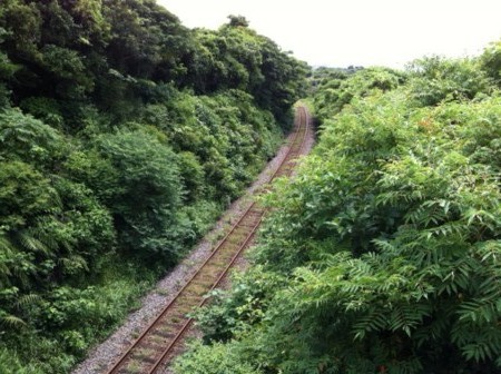 f:id:dokuhebiniki:20110815143240j:image