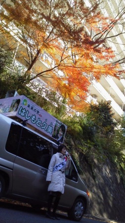 f:id:dokuhebiniki:20121214112508j:image