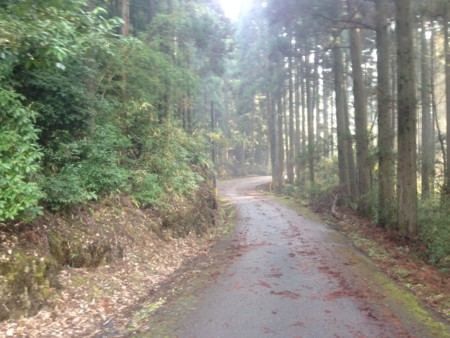 f:id:dokuhebiniki:20140106105007j:image