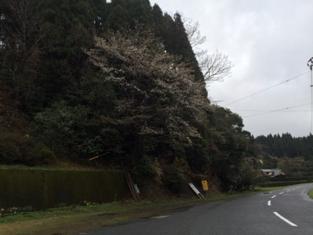f:id:dokuhebiniki:20150321050819j:image f:id:dokuhebiniki:20150321050819j:image