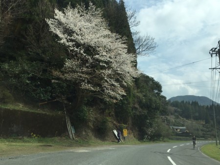 f:id:dokuhebiniki:20150322054926j:image f:id:dokuhebiniki:20150322054926j:image