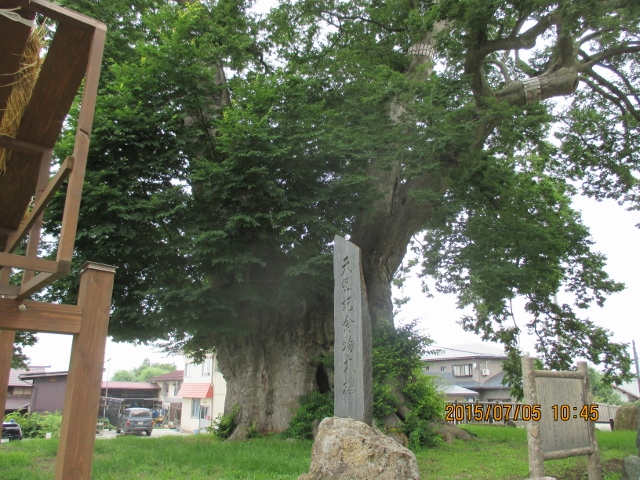 f:id:dokuhunt:20150707202234j:image