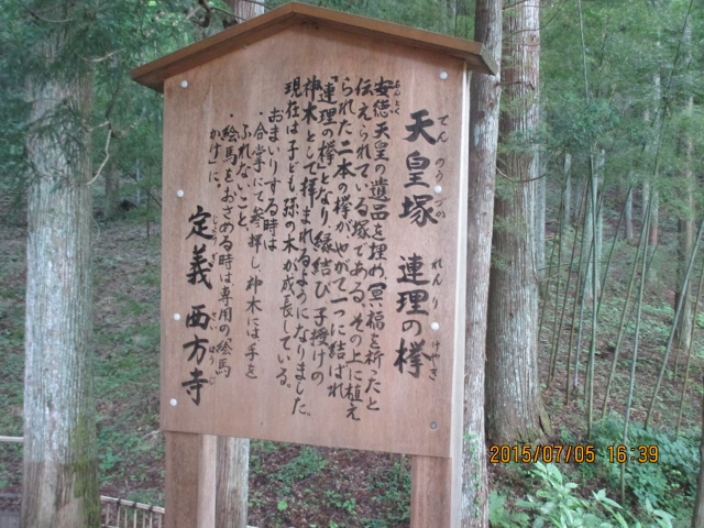 f:id:dokuhunt:20150711072451j:image
