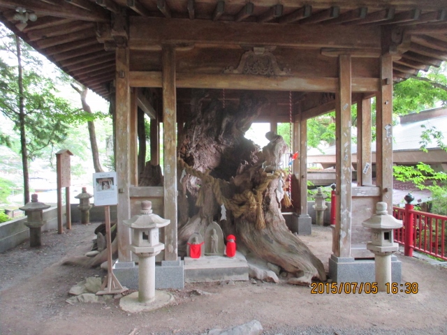 f:id:dokuhunt:20150711072455j:image