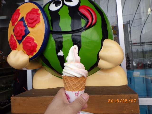 f:id:dokuhunt:20160528180128j:image