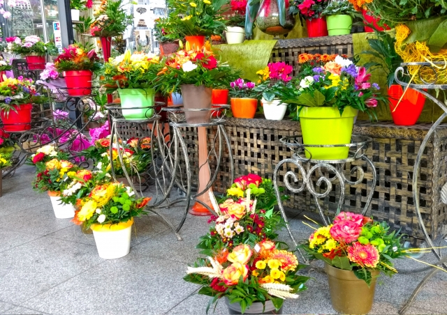 f:id:dokuritu40:20180301164316j:plain f:id:dokuritu40:20180301164316j:plain