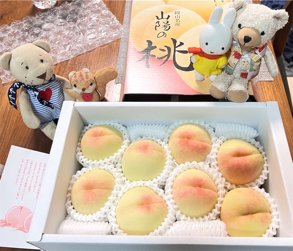 f:id:dokusara:20250731081437j:image