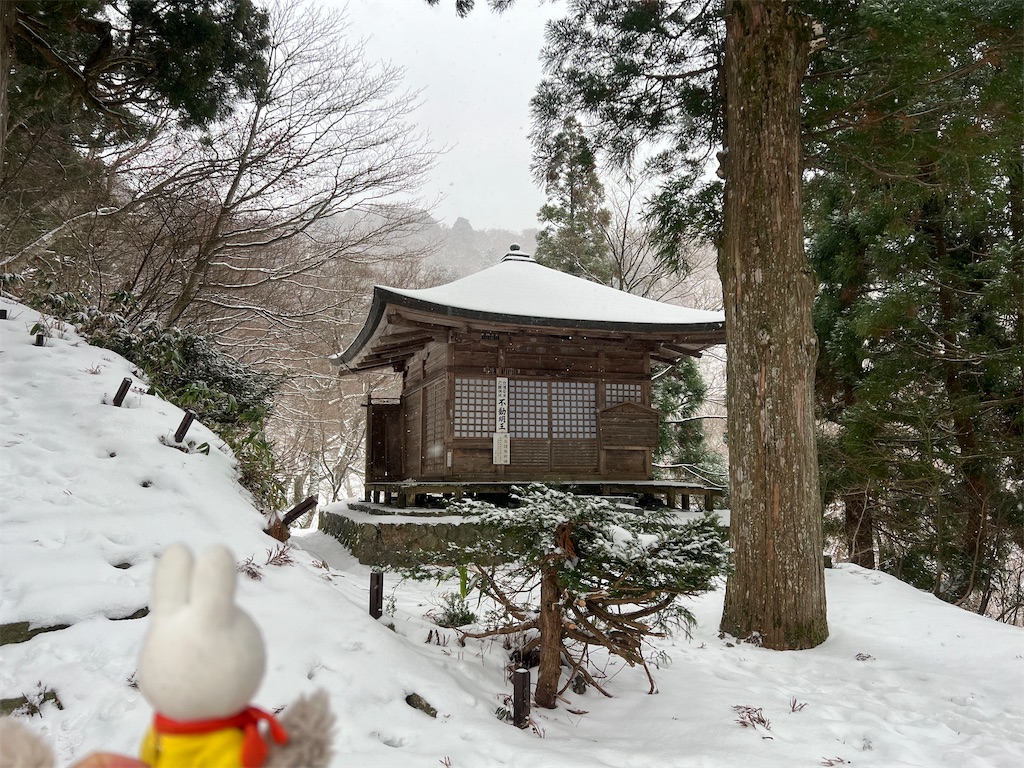 f:id:dokusara:20260114083509j:image