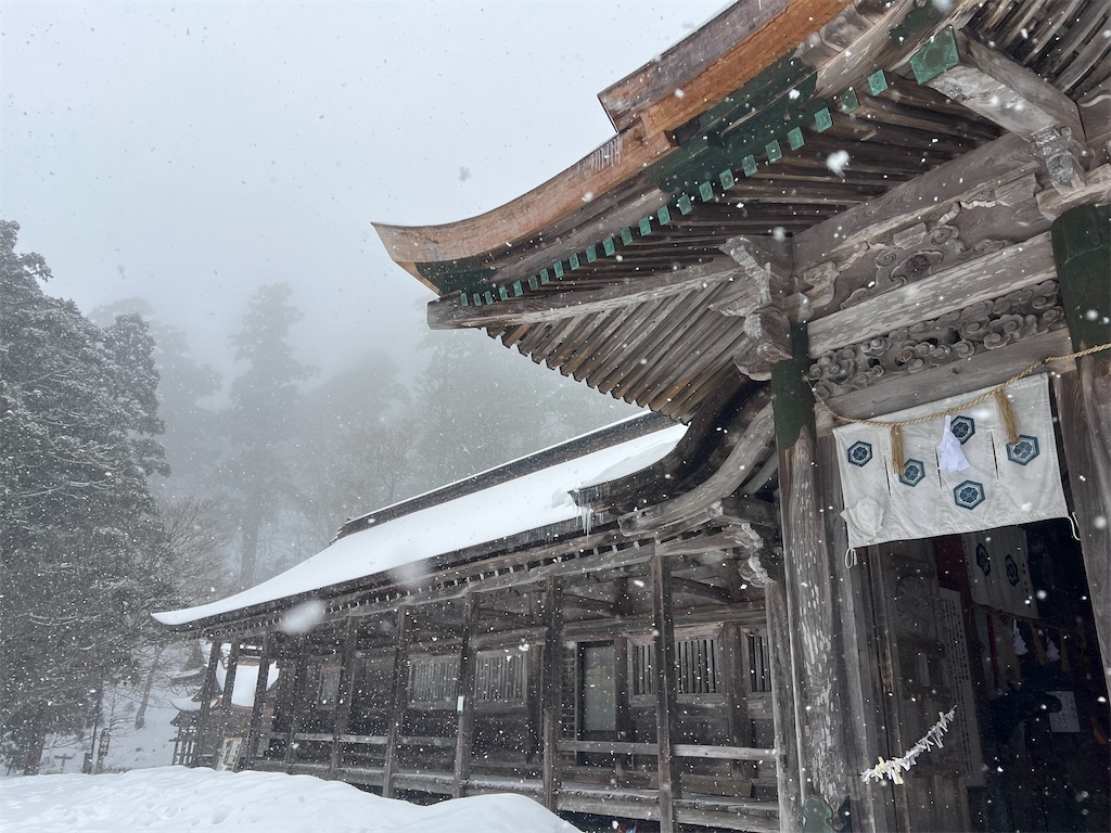f:id:dokusara:20260114224814j:image