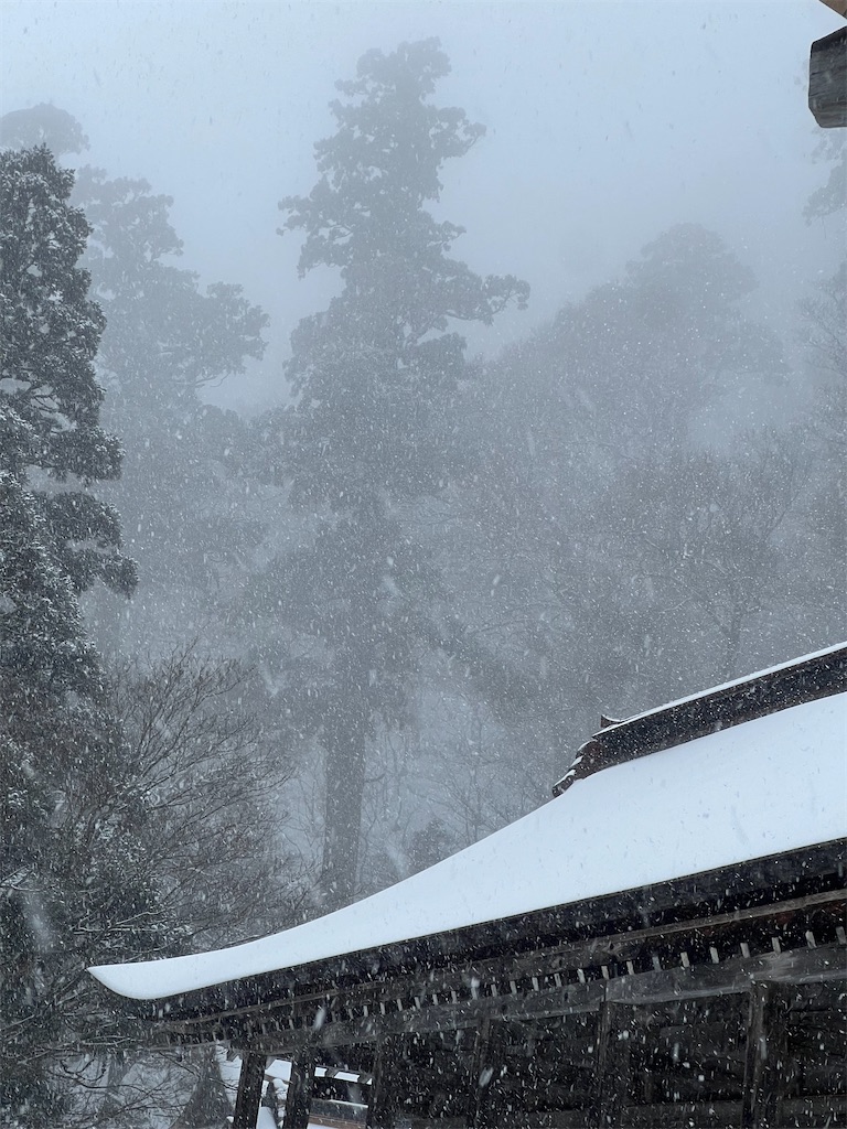 f:id:dokusara:20260114225014j:image
