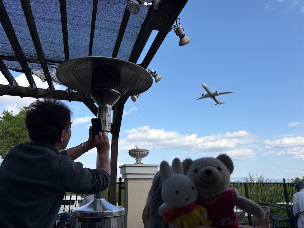 f:id:dokusara:20260731210233j:image