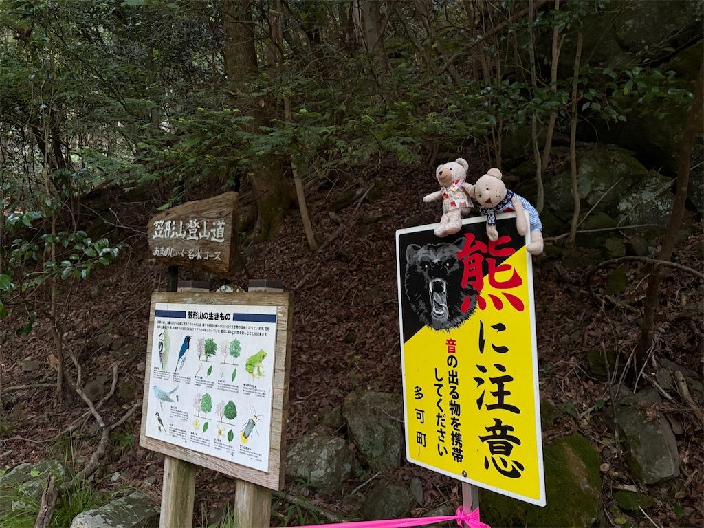 f:id:dokusara:20260731211132j:image