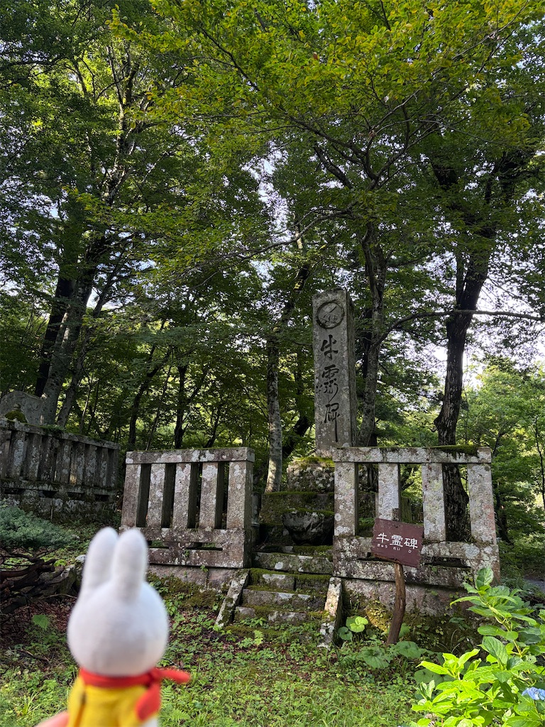 f:id:dokusara:20260822134058j:image
