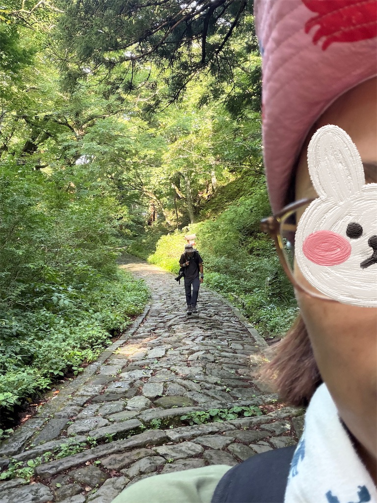 f:id:dokusara:20260824083745j:image