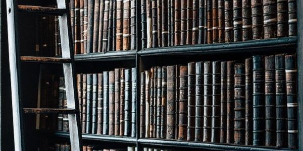 図書館の魔女 高田大介 感想 図書館は人の知り得るが世界の縮図 小説の海