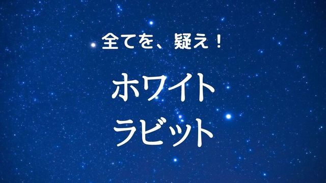 ホワイトラビット 伊坂幸太郎 感想 全てを 疑え 小説の海