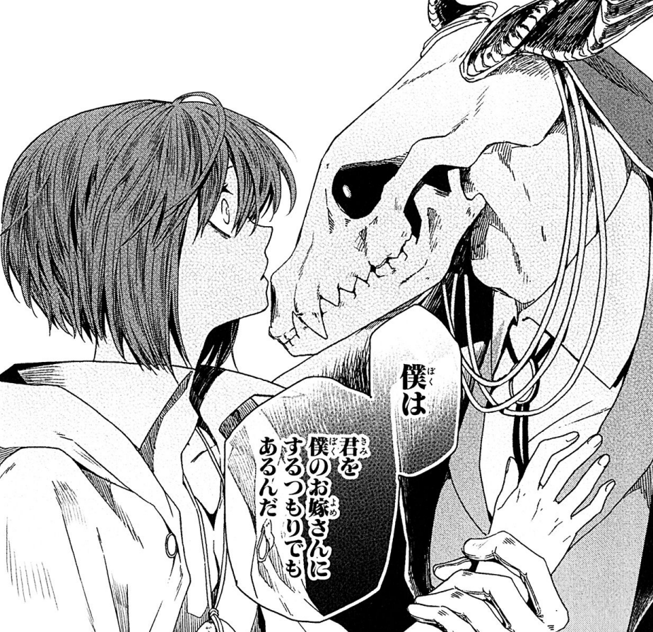 一人の少女が 人為らざる者 に競りをとされたとき 物語は始まる 魔法使いの嫁 漫画感想 漫画ギーク記
