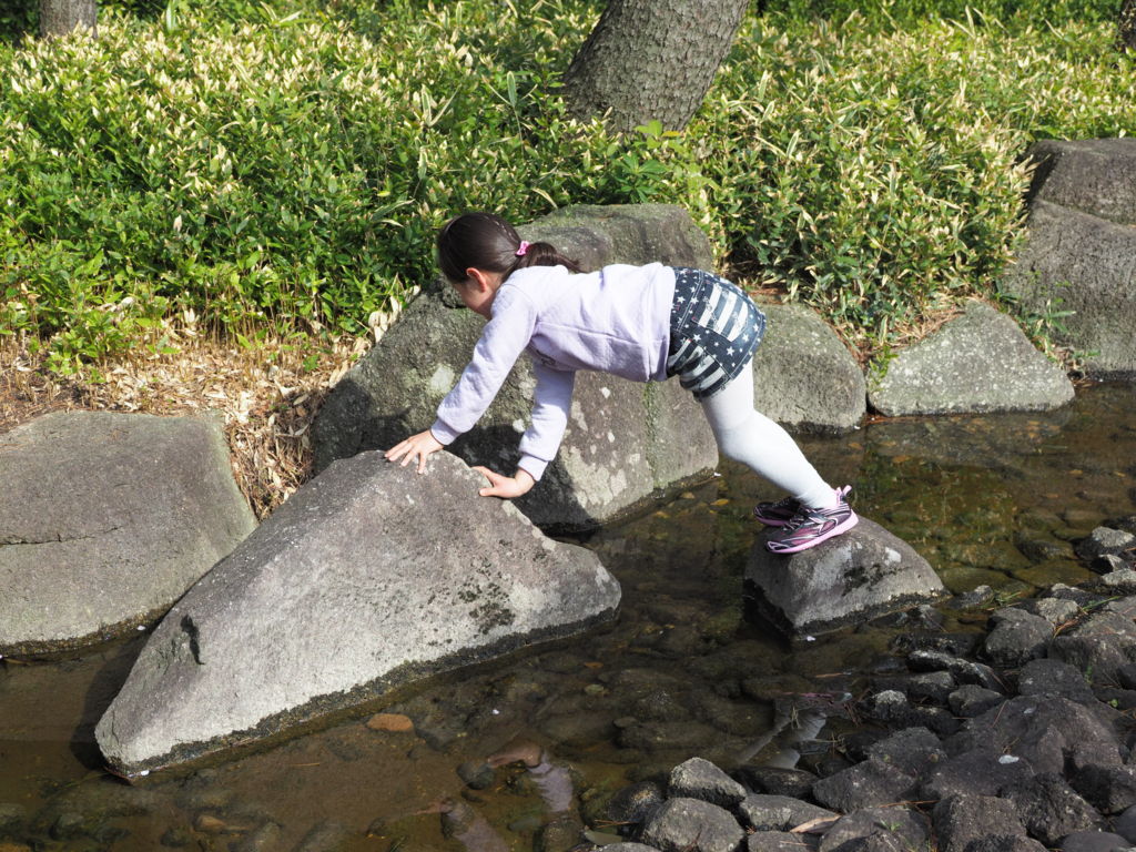 f:id:dokusyokeibudono:20170420121450j:plain f:id:dokusyokeibudono:20170420121450j:plain