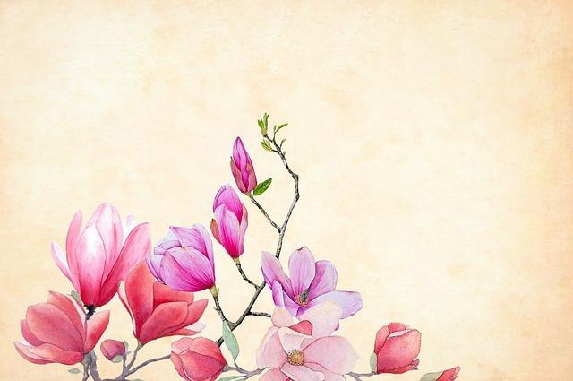 f:id:dokusyono:20191022114222j:plain f:id:dokusyono:20191022114222j:plain