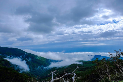 知床峠の雲海