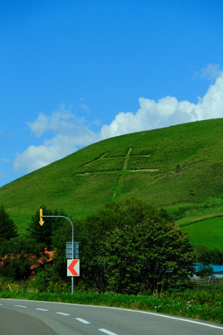 モアン山の牛文字