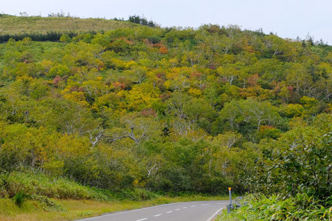 知床峠の紅葉