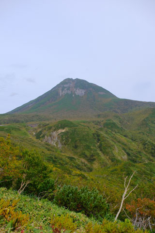 紅葉しつつある羅臼岳