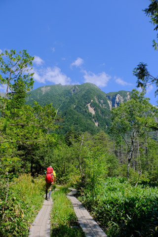 梓川右岸コースの木道