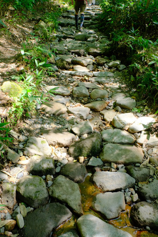 梓川右岸コース